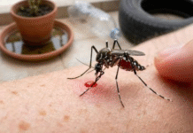 Tabasco trepa al segundo lugar nacional por casos de dengue.