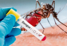 Tabasco escala al segundo lugar nacional en dengue.