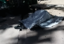 ¡Ejecutan a balazos a hijo de policía!