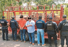 ¡Con las manos en la masa! Cae pareja de abigeos.