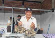 ¡Más pescado fresco! Anuncian nuevo punto de venta.