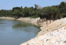 ¡Adiós al miedo al agua! Millonaria inversión para bordos en Tabasco.