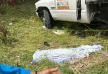 ¡Trágico accidente deja una mujer sin vida.
