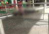 ¡Misteriosa muerte en avenida Francisco Javier Mina!