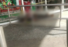 ¡Misteriosa muerte en avenida Francisco Javier Mina!