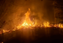 ¡Lunes infernal! Atienden doble incendio carretero