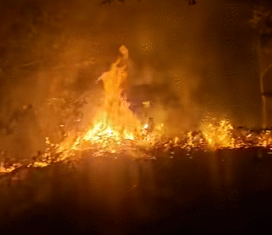 ¡Lunes infernal! Atienden doble incendio carretero