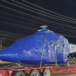 Sorprende tráiler transportando helicóptero por carretera.