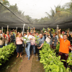 ¡Meta verde! Buscarán plantar 2.4 millones de árboles.