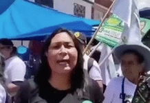¡Crimen en campaña! Asesinan a candidata y periodista