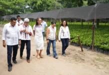 Destinan 158 millones de pesos para planta chocolatera y módulos en Tabasco.