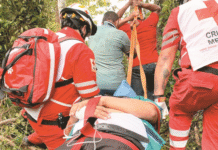 ¡Conductor vuelca y acaba en el monte!
