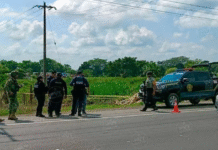 Hallan tres ejecutados sobre la carretera Villahermosa-Frontera.