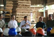 ¡Boom forestal en Cárdenas! Arranca operaciones moderna planta de madera.