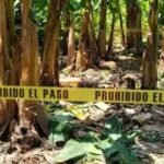 Encuentran a un hombre muerto en platanar de Teapa!