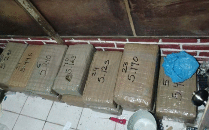 mota1